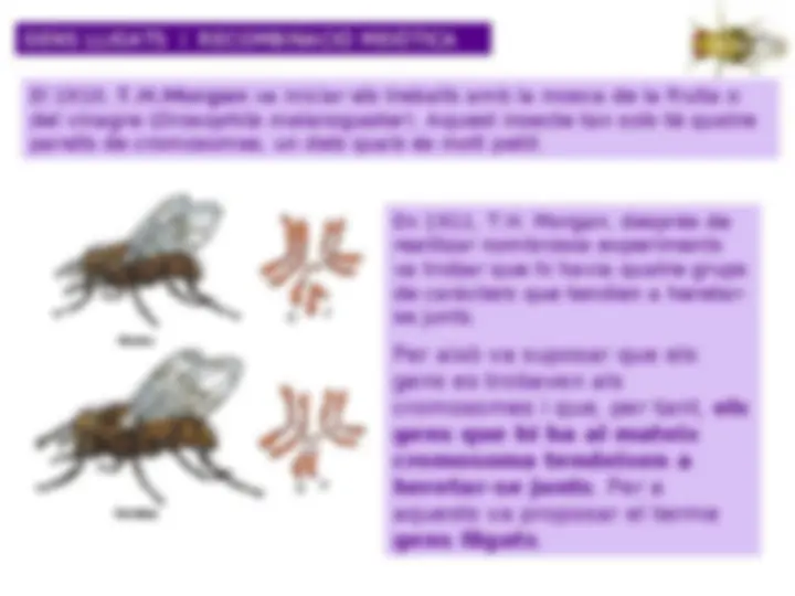 pf22