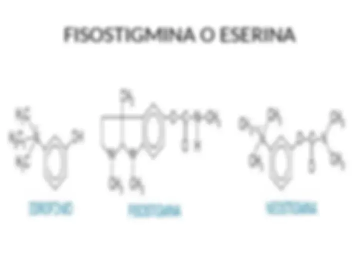 pf14