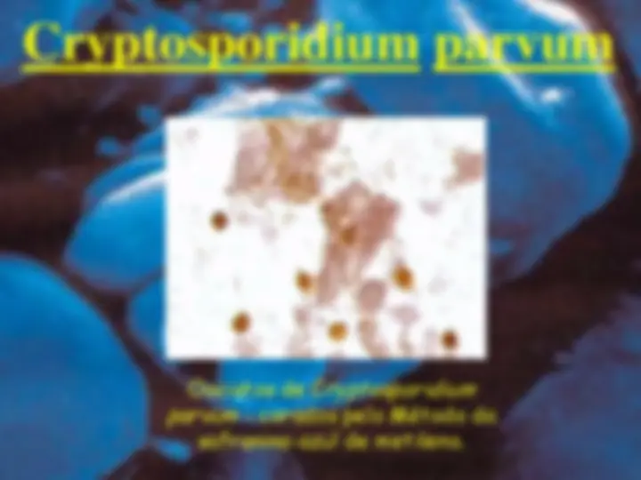 pf62