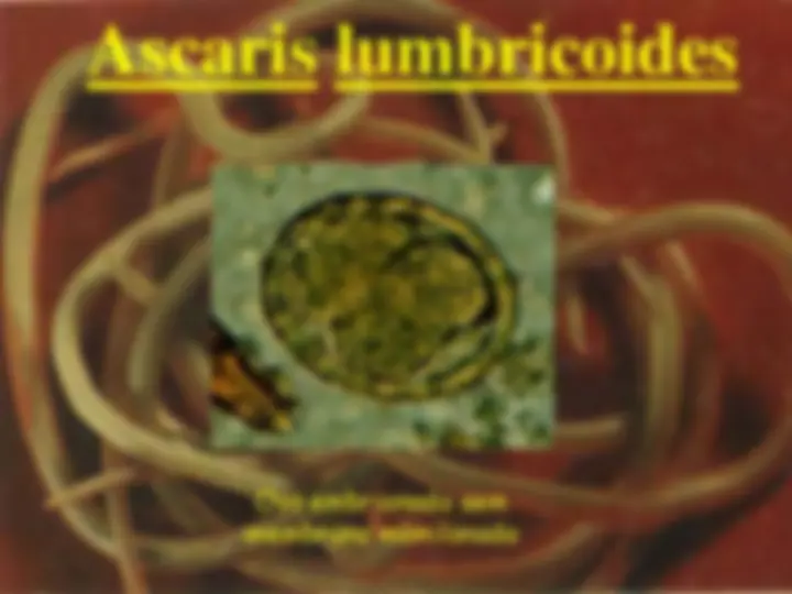pf4