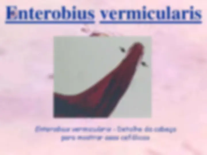 pf23