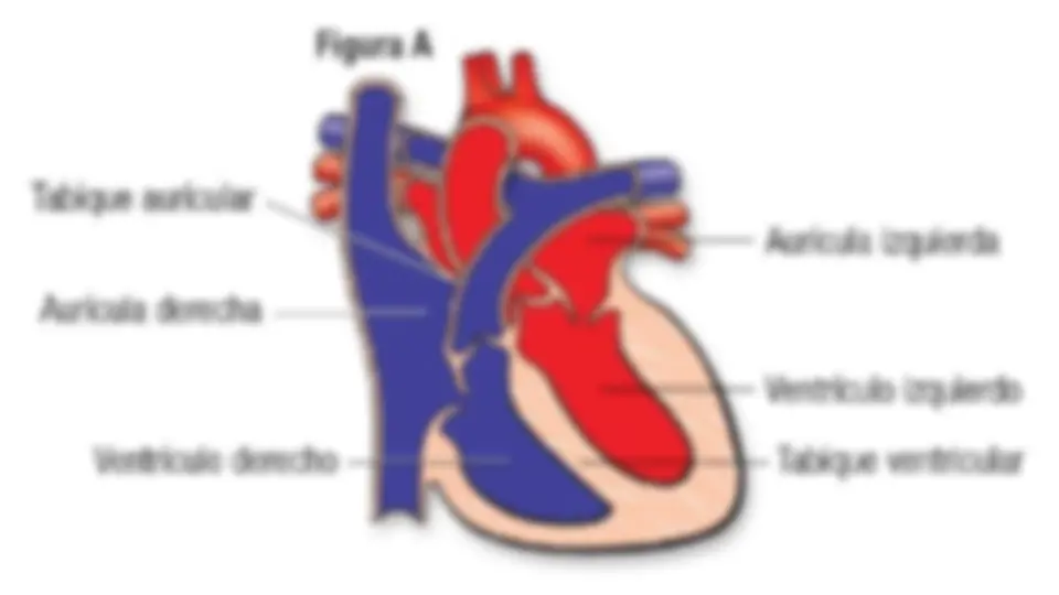 pf3