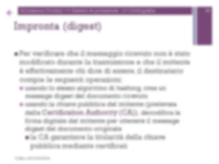 pf19