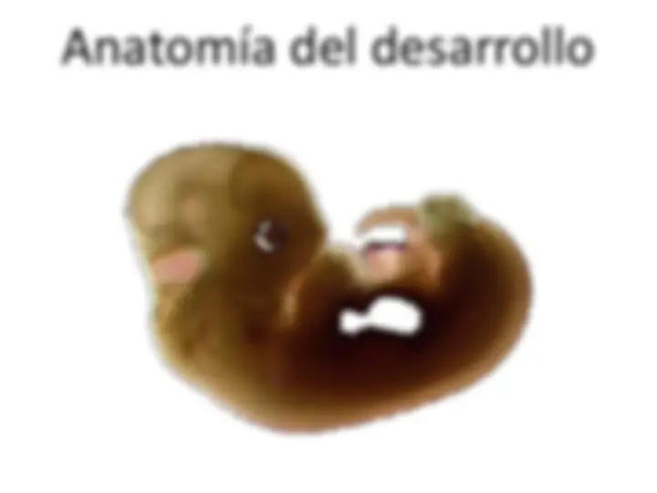 pf13