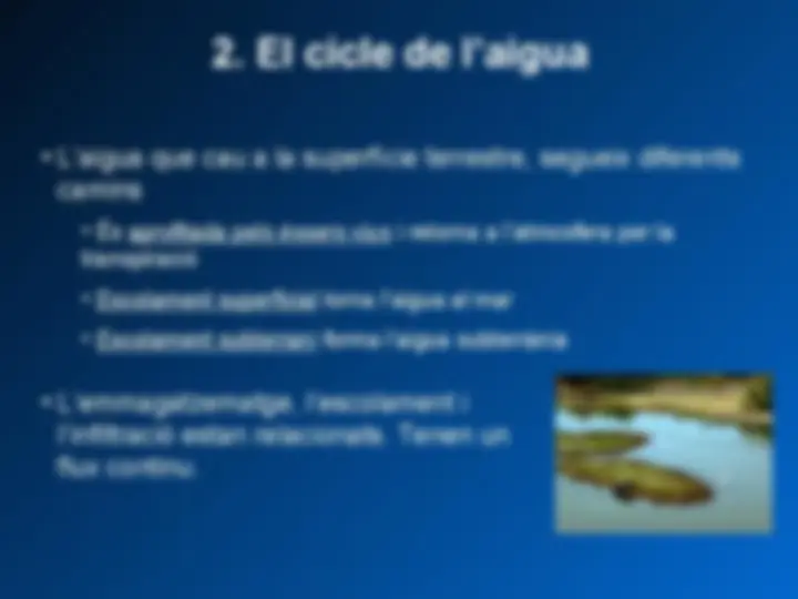 pf5