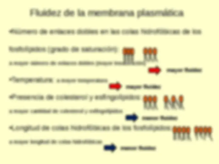 pf14