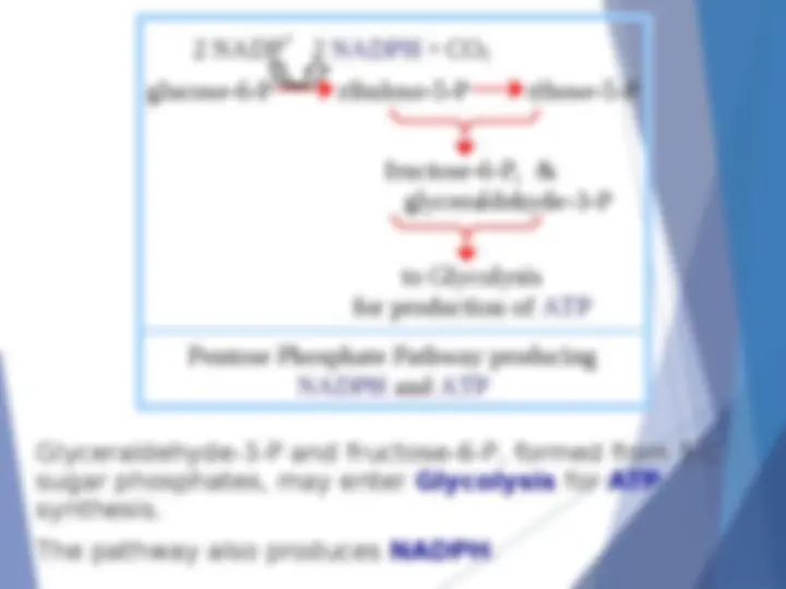 pf1c