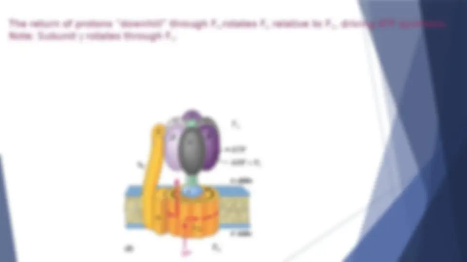 pf1a