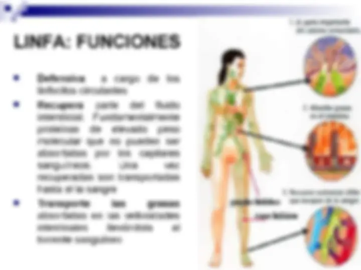 pf3b