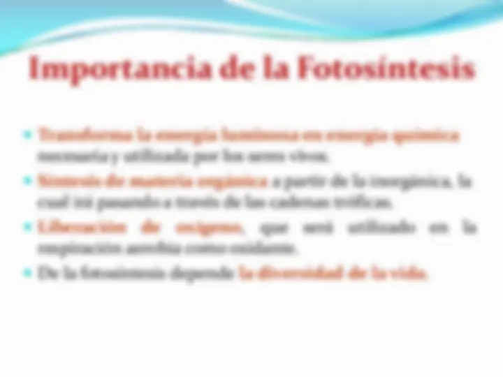 pf13