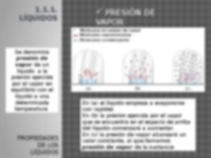 pf19
