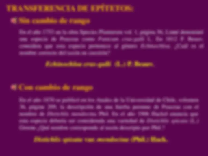 pf19