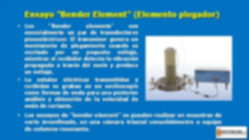 pf19