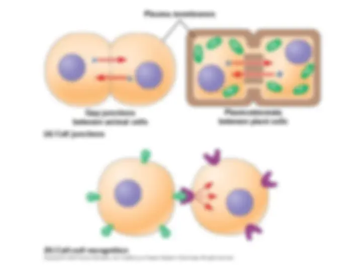 Cellular Response Cellular Signaling: Understanding the Mechanisms of Cell-to-Cell ...