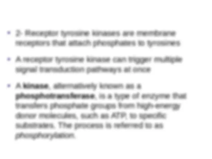 Cellular Signaling: Understanding the Mechanisms of Cell-to-Cell ...