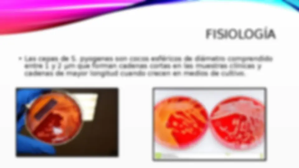 pf3