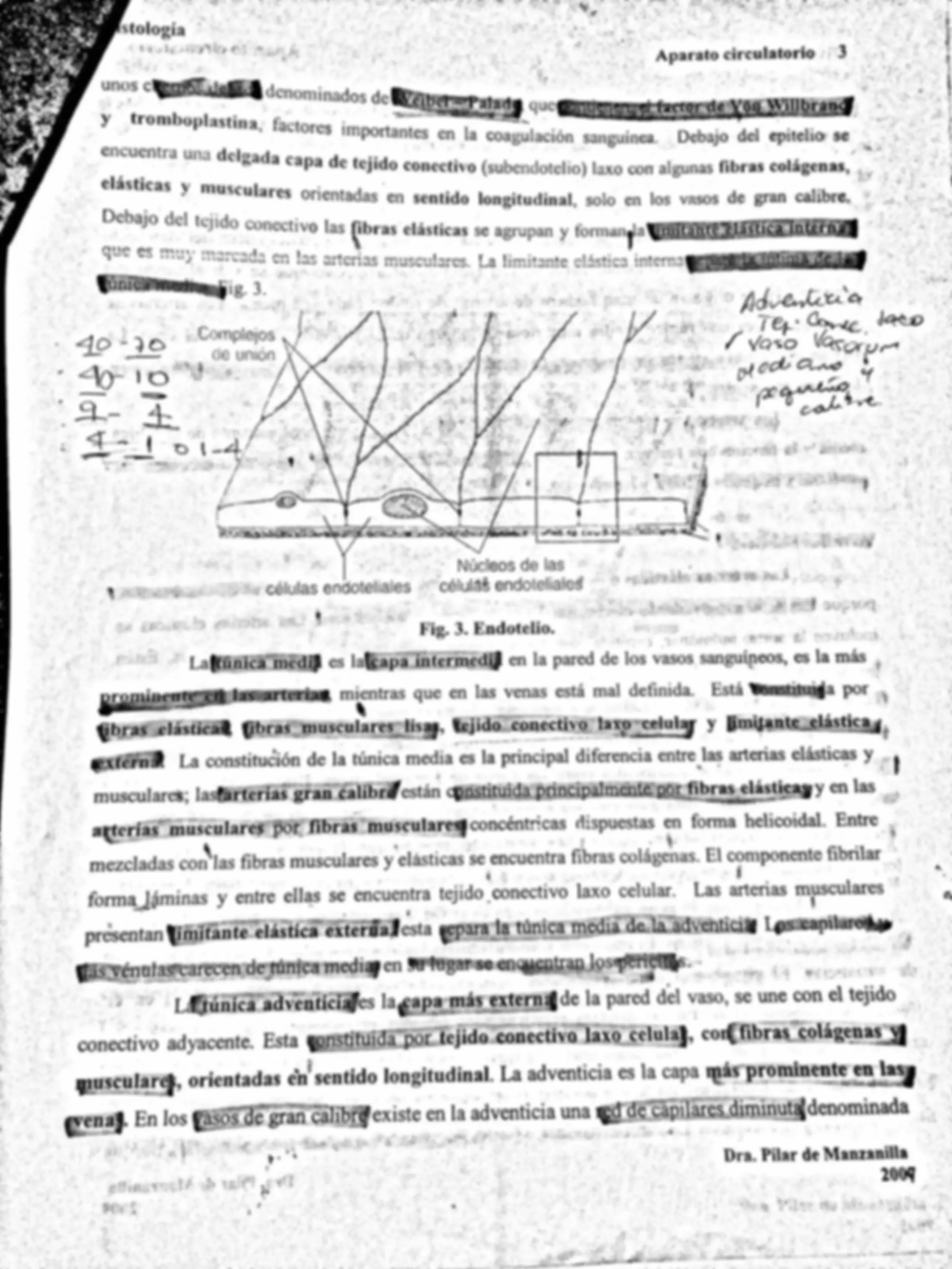pf3
