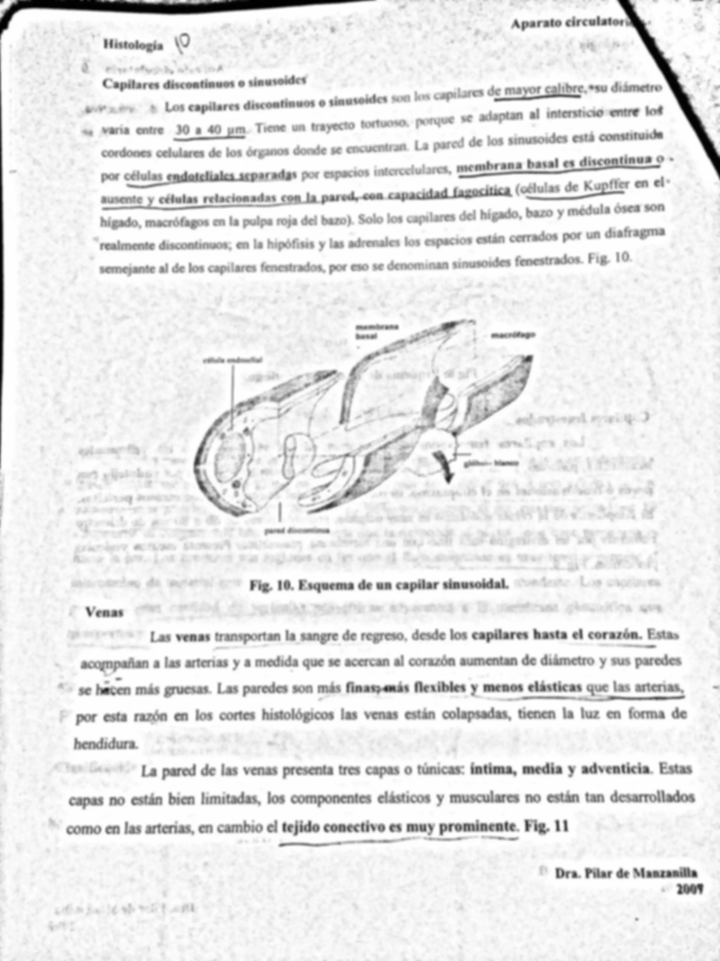 pfa