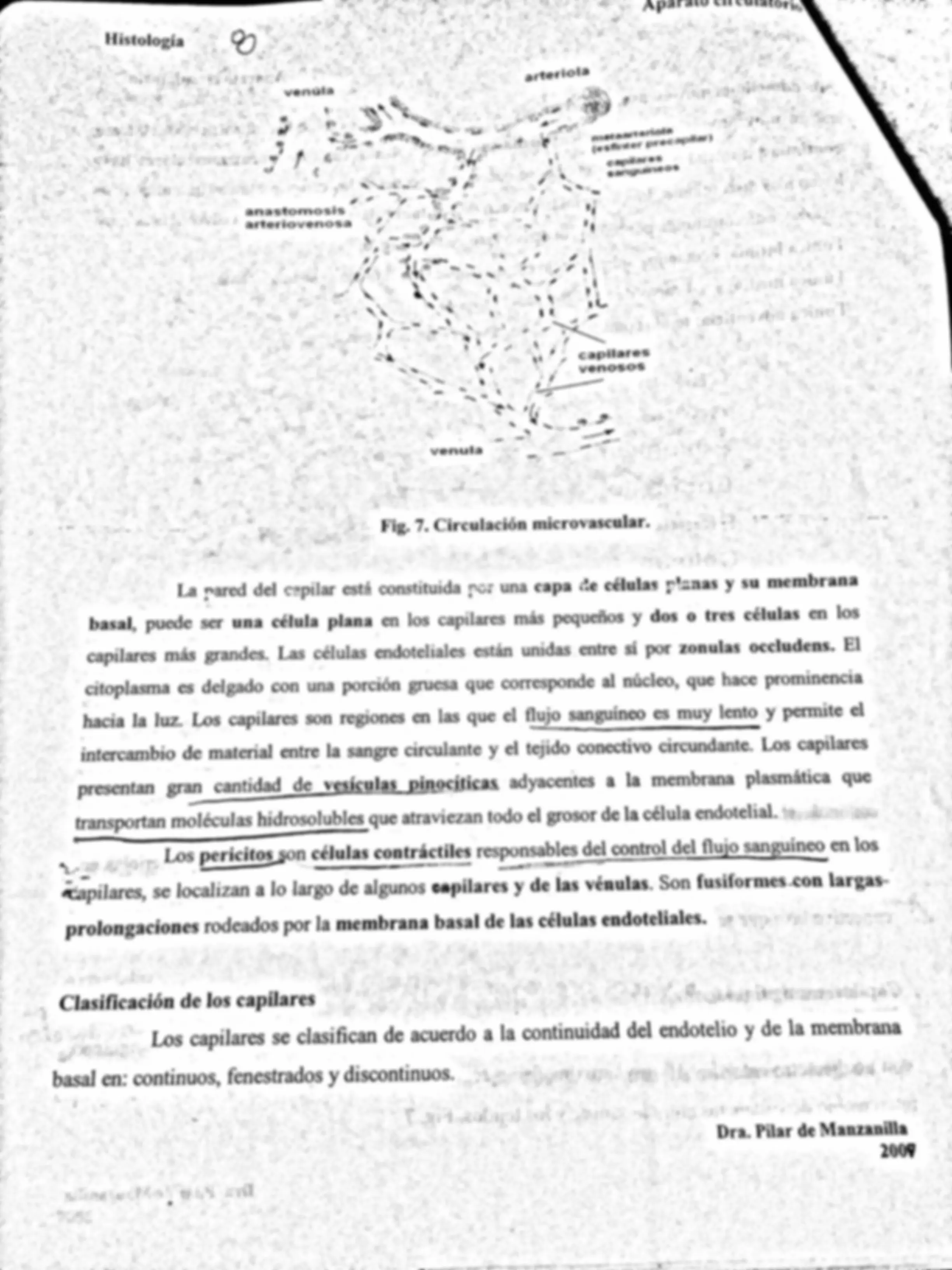 pf8