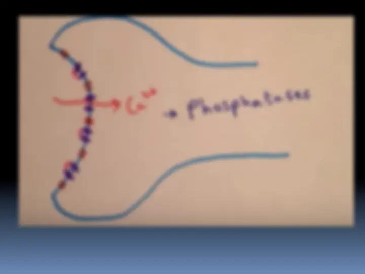 pf1a