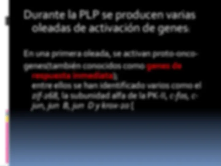 pf1e