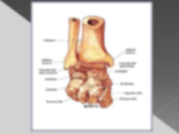 pf46