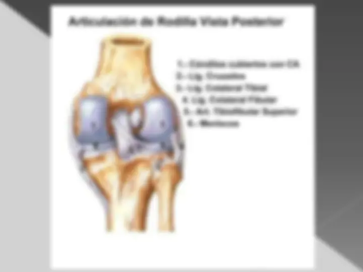 pf42