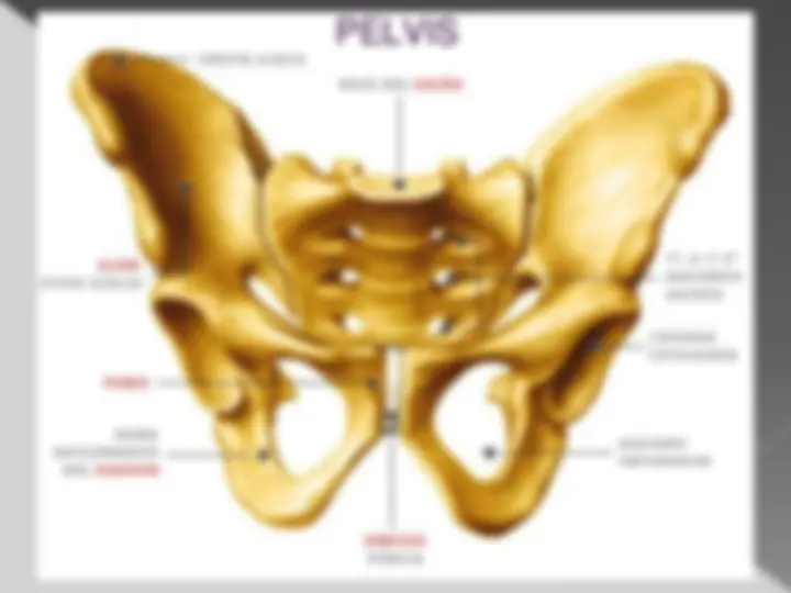 pf39