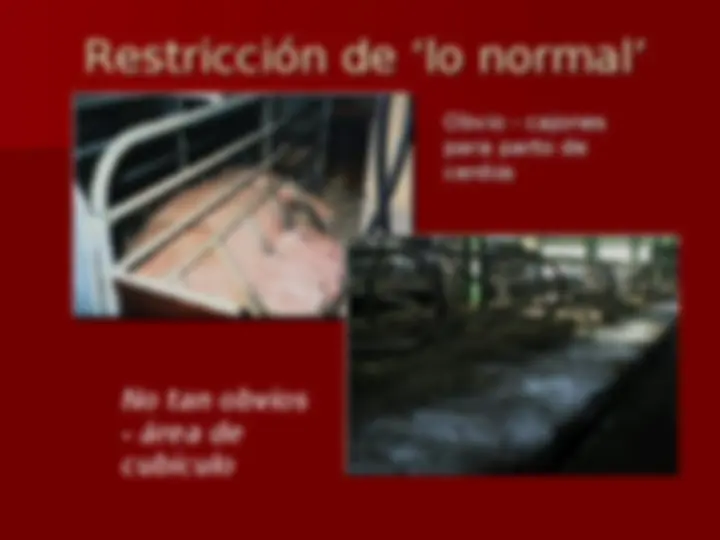 pff