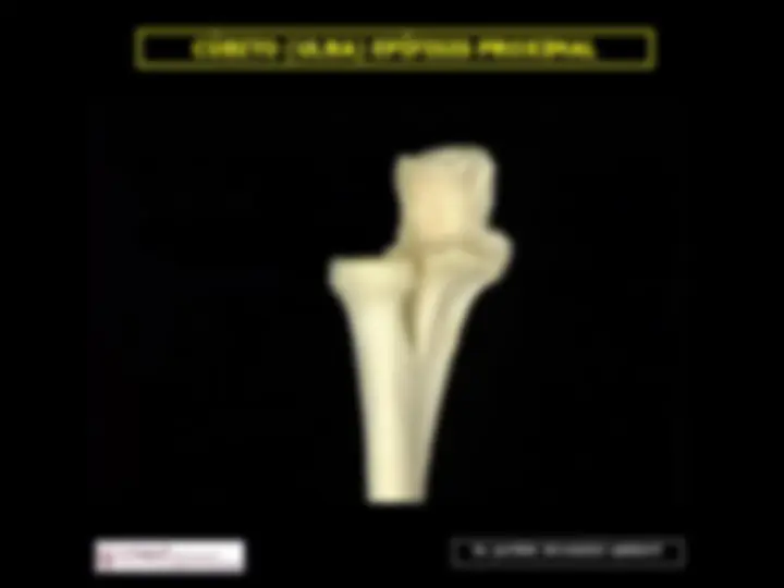pfa