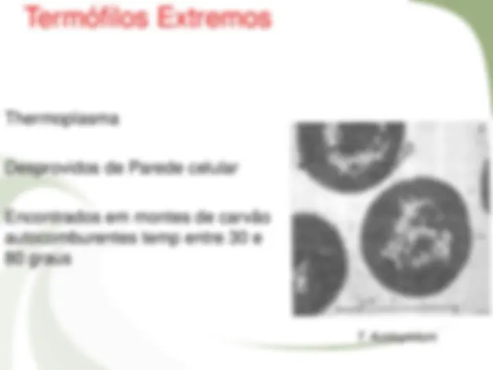 pf13