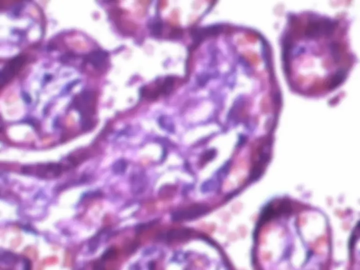 pf8