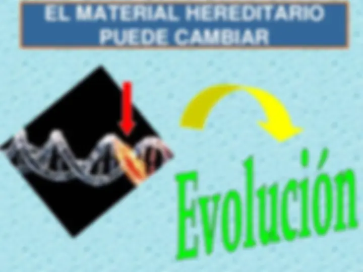 pf4