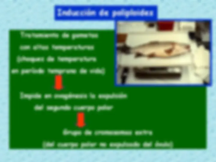 pfe