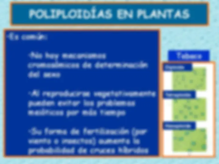pf13