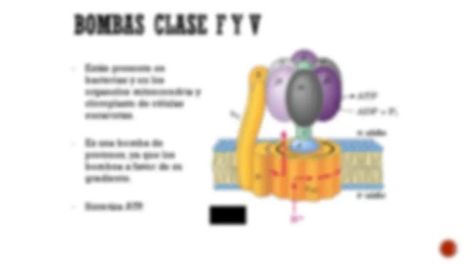 pf38
