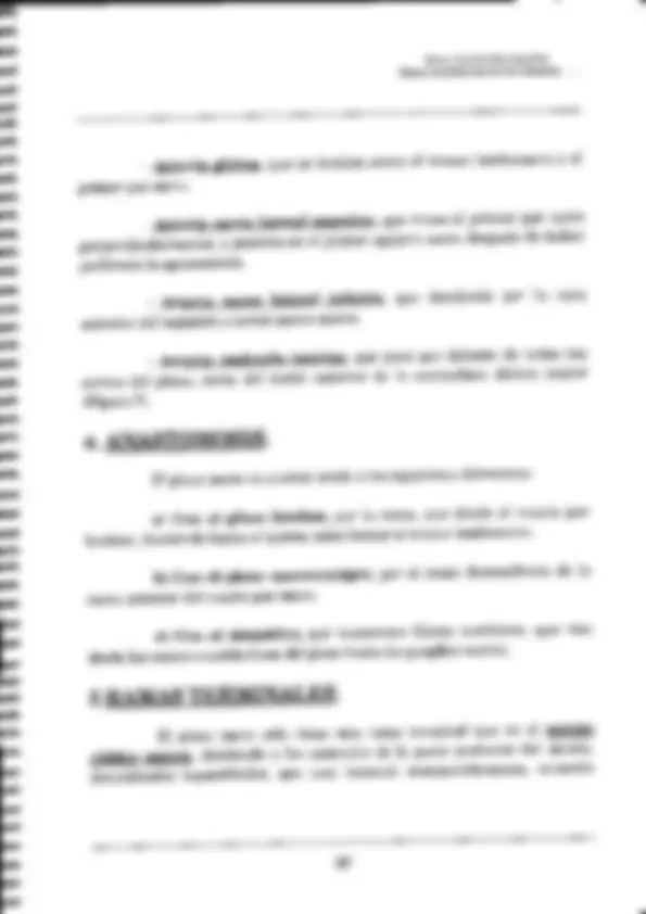 pf24
