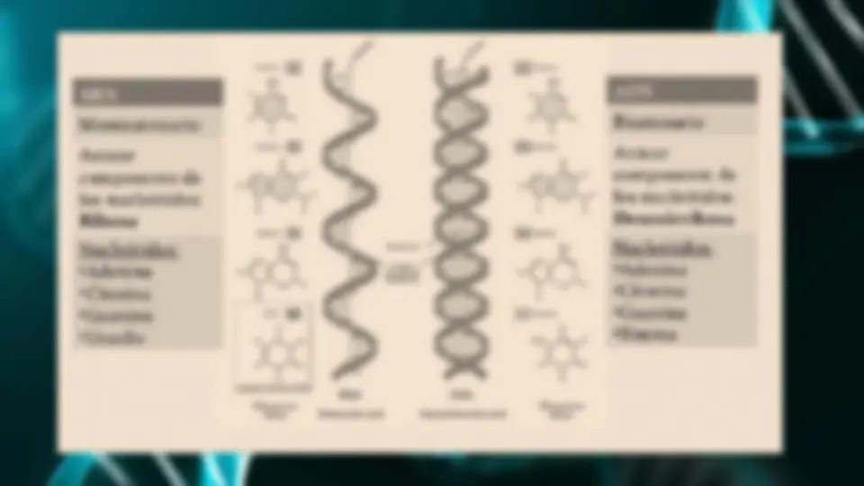 pf3