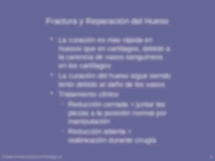 pf29