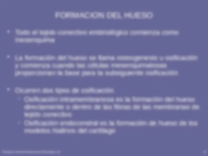 pf13