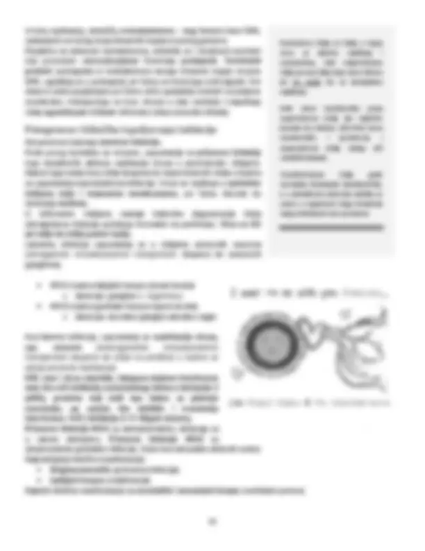 pf2e