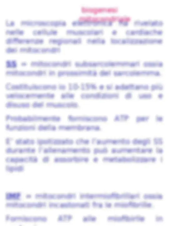 pf27