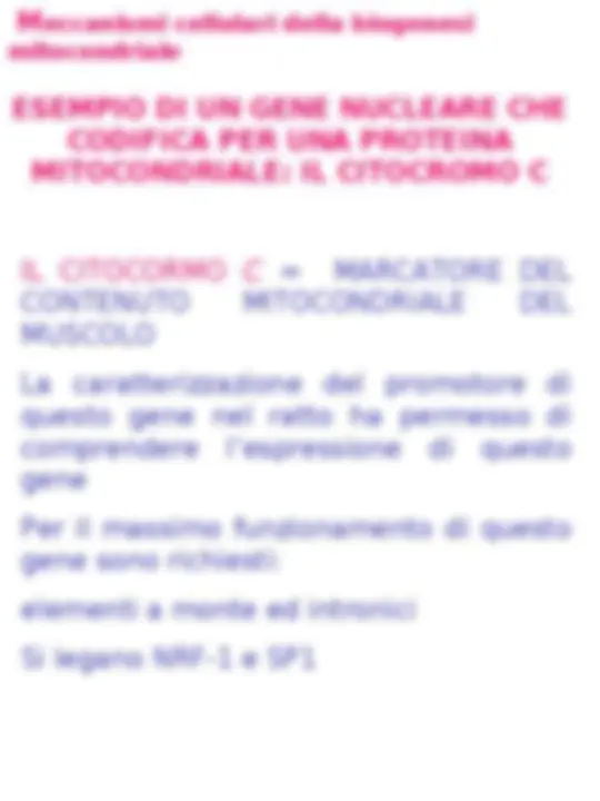 pf35