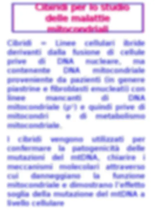 pf24