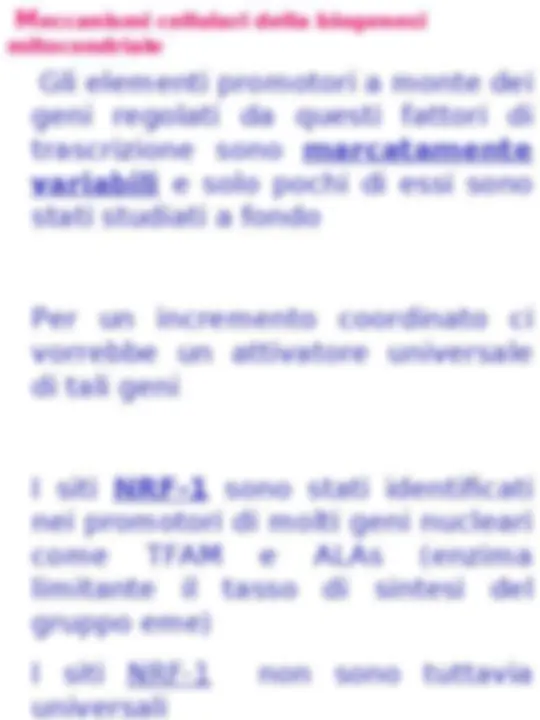 pf31
