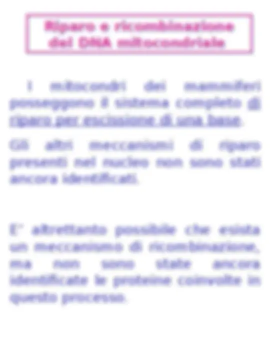 pf13