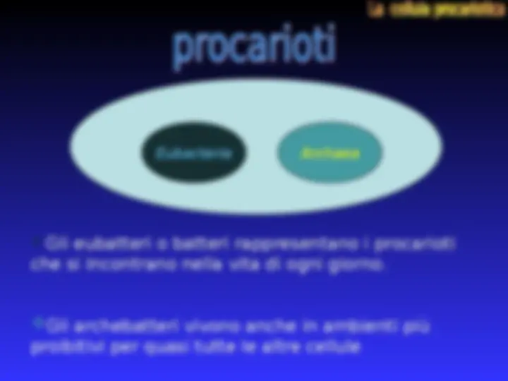pf16