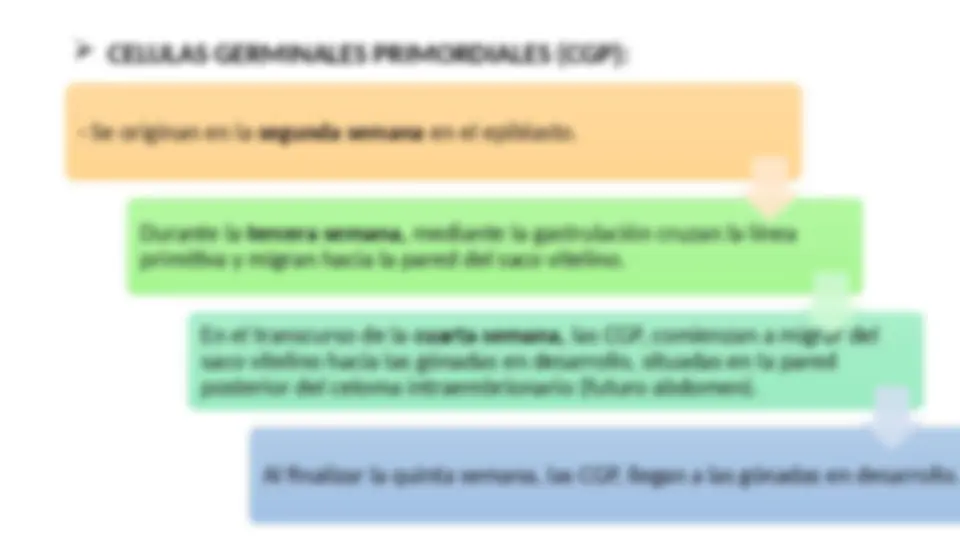 pf4