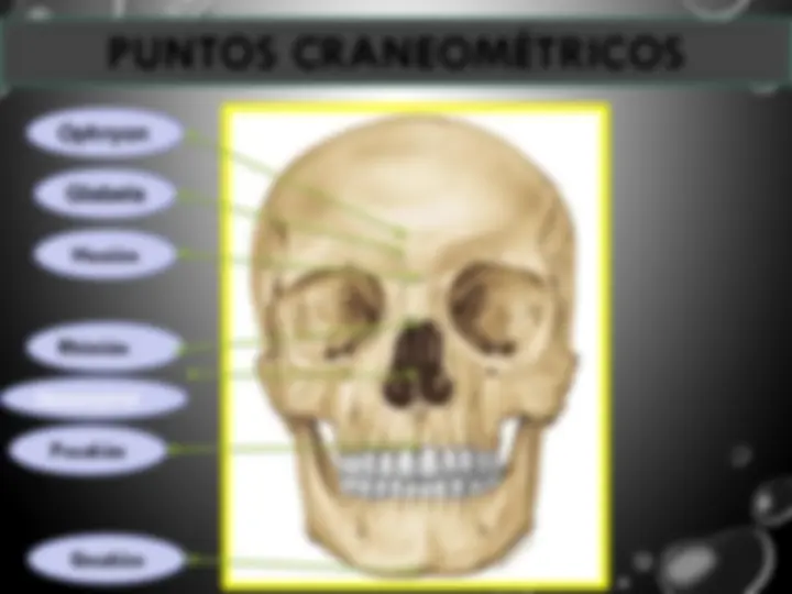 pf4