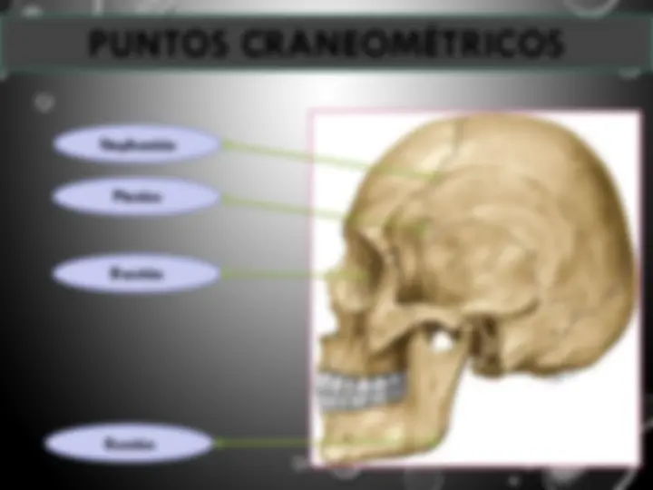 pff